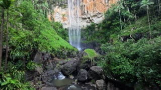 Waterfall in Springbrook National Park