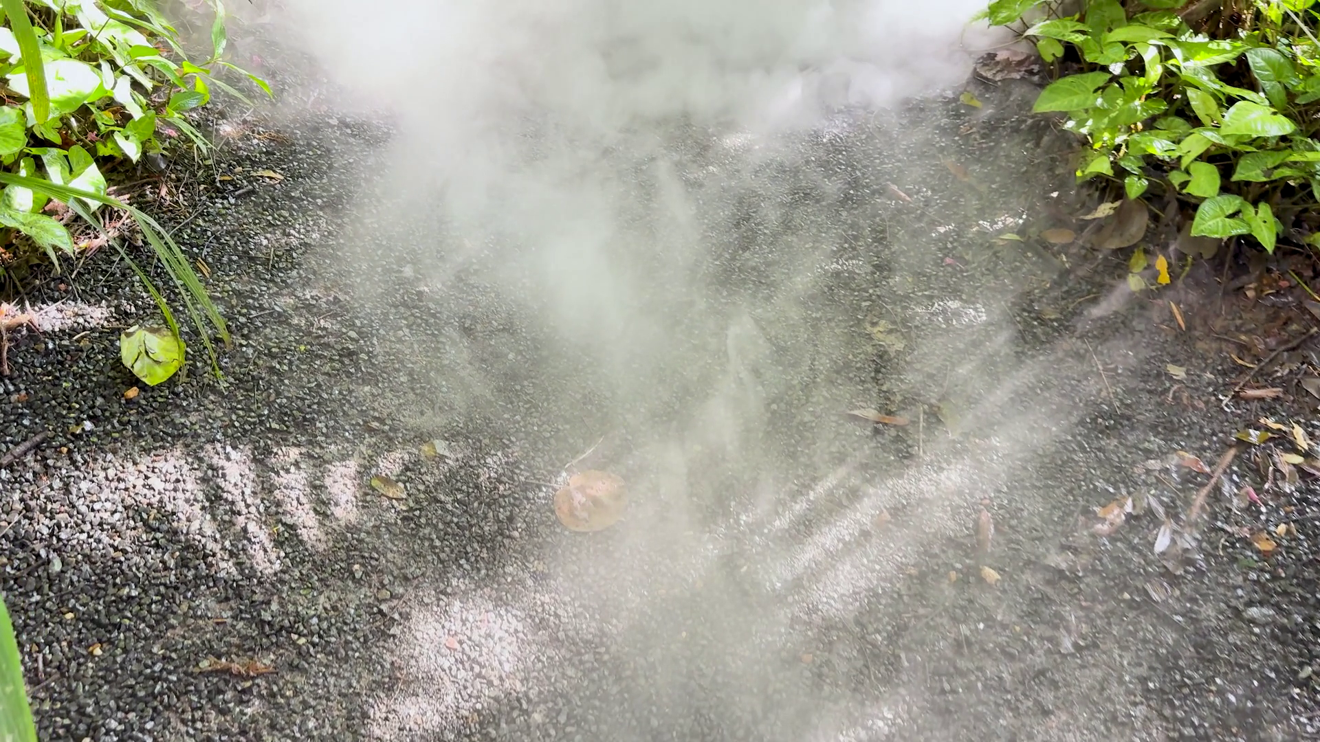 Mist Rising In Natural Park Pathway Stock Footage SBV-353018482 ...