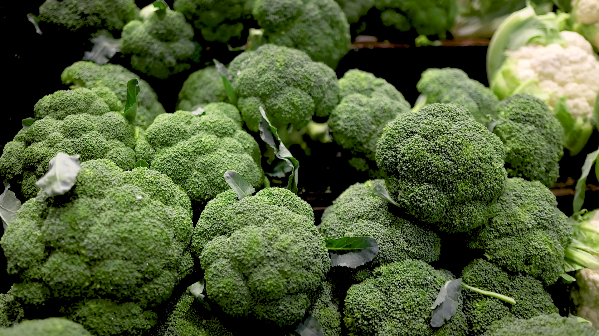 Fresh Broccoli Display At Gold Coast Stock Footage SBV-352458282 ...