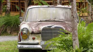 Rusty Vintage Car in Phuket Garden