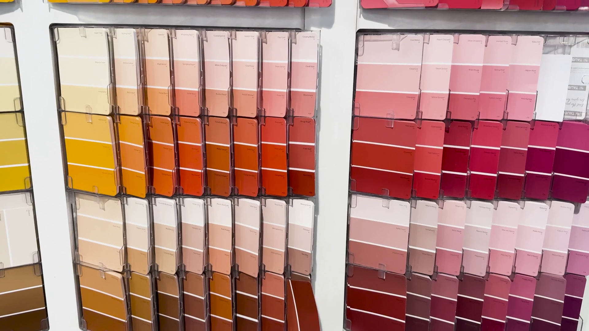 Exploring Paint Sample Choices Stock Footage SBV-352538895 - Storyblocks