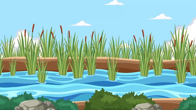 Animated Water Stock Footage: Royalty-Free Video Clips - Storyblocks