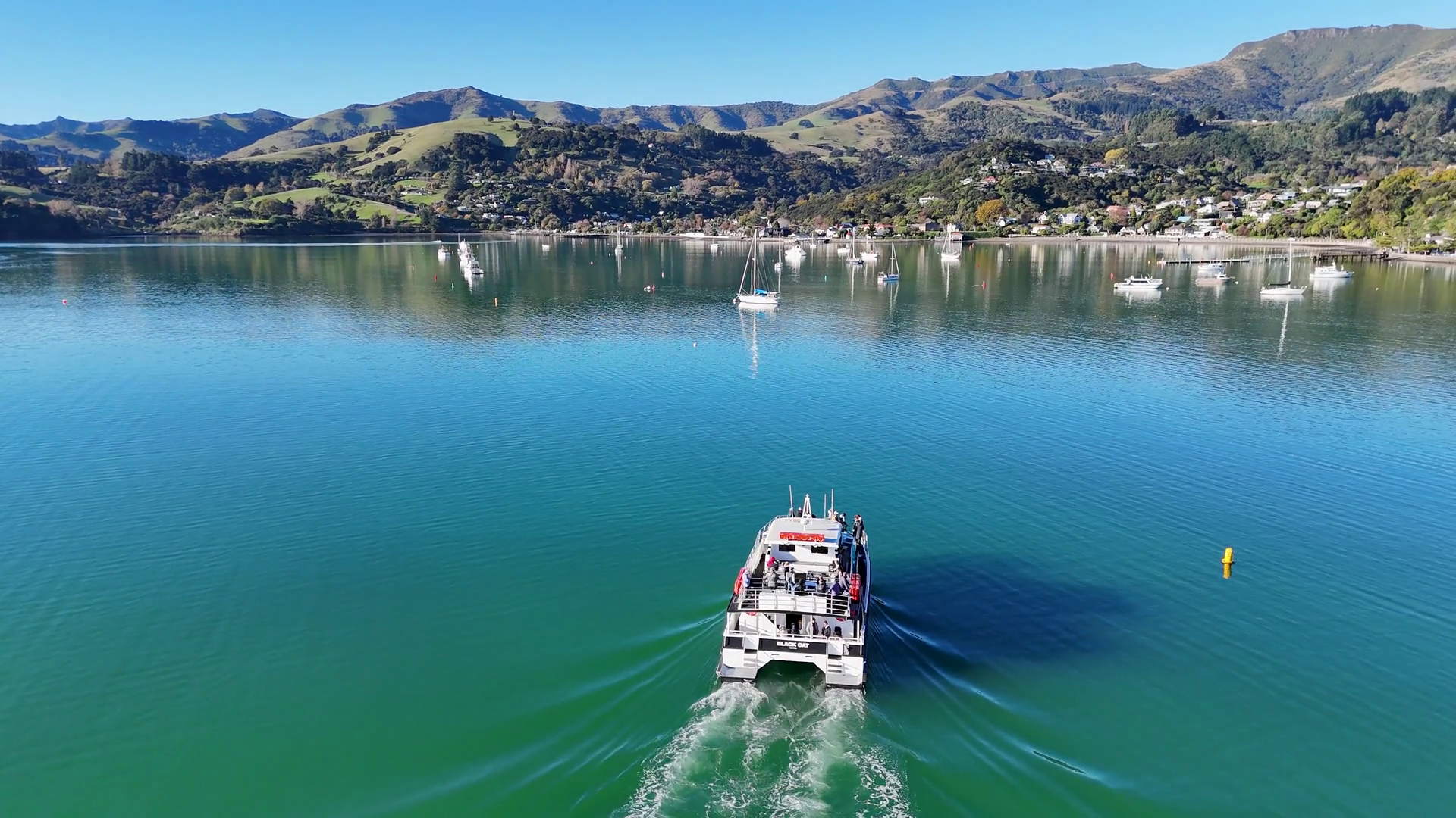 Scenic Boat Journey In Akaroa's Tranquil Stock Footage SBV-352465090 ...