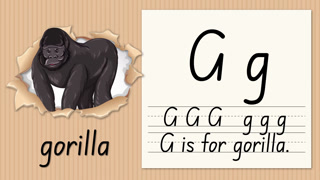 Educational Animation Teaching the Letter G with a Gorilla Illustration
