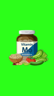 Vitamin Molybdenum Bottle with Healthy Foods Animation Sequence