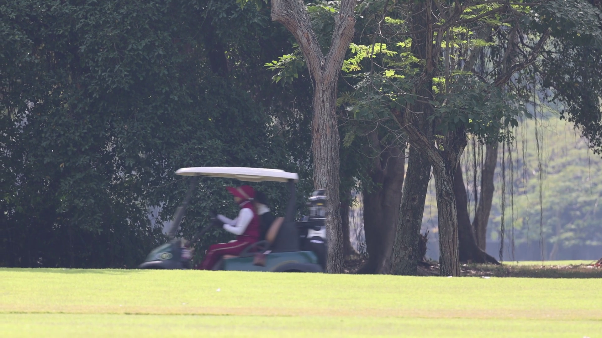 Golf Cart Ride Through Scenic Course Stock Footage SBV-352341743 ...