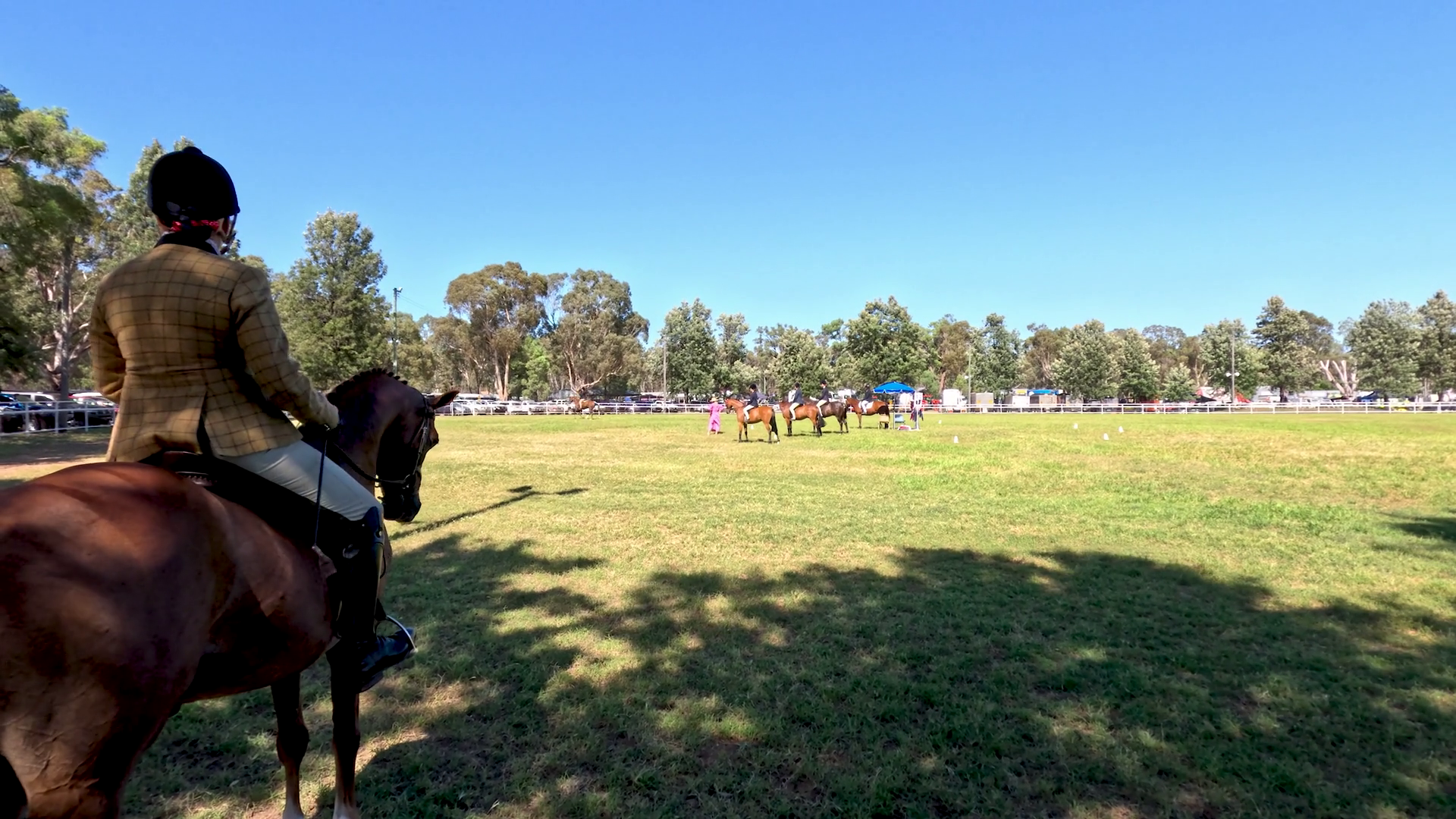 Horse Rider Observing Event In Coonabarabran Stock Footage SBV ...