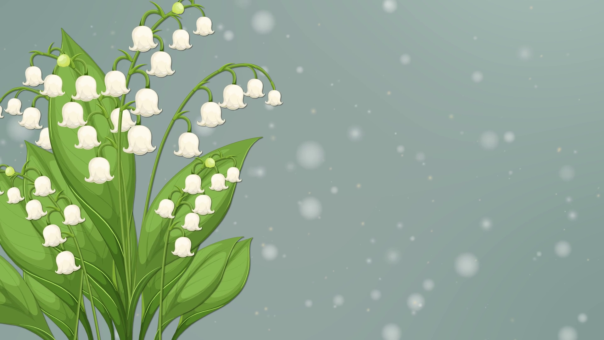 Lily Of Valley Blossoms In Gentle Animation Stock Footage SBV-352489670 ...