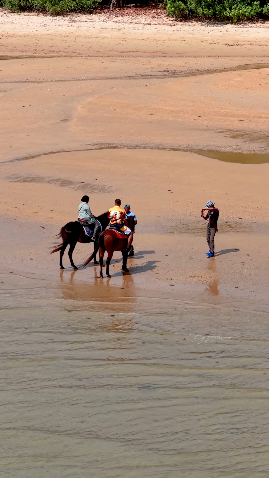 Tourists Riding Horses On Tropical Beach In Stock Footage SBV-354017404 ...