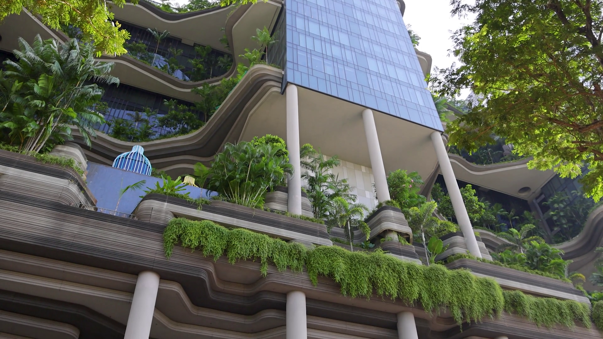 Modern Green Building Traffic On Singapore Stock Footage SBV-353006052 ...