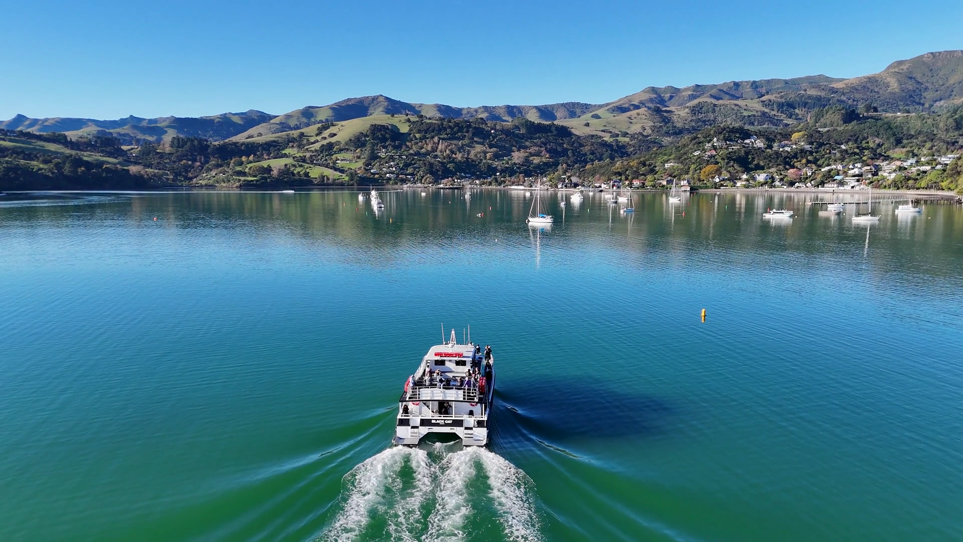 Scenic Boat Journey In Akaroa Harbor Stock Footage SBV-352447226 ...