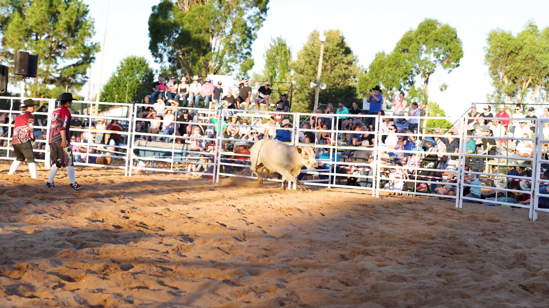 Rodeo Action At Dusty Arena Stock Footage SBV-353005531 - Storyblocks