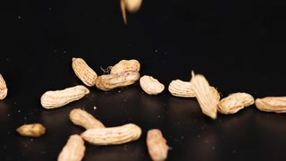 Peanuts in Motion on Black Surface