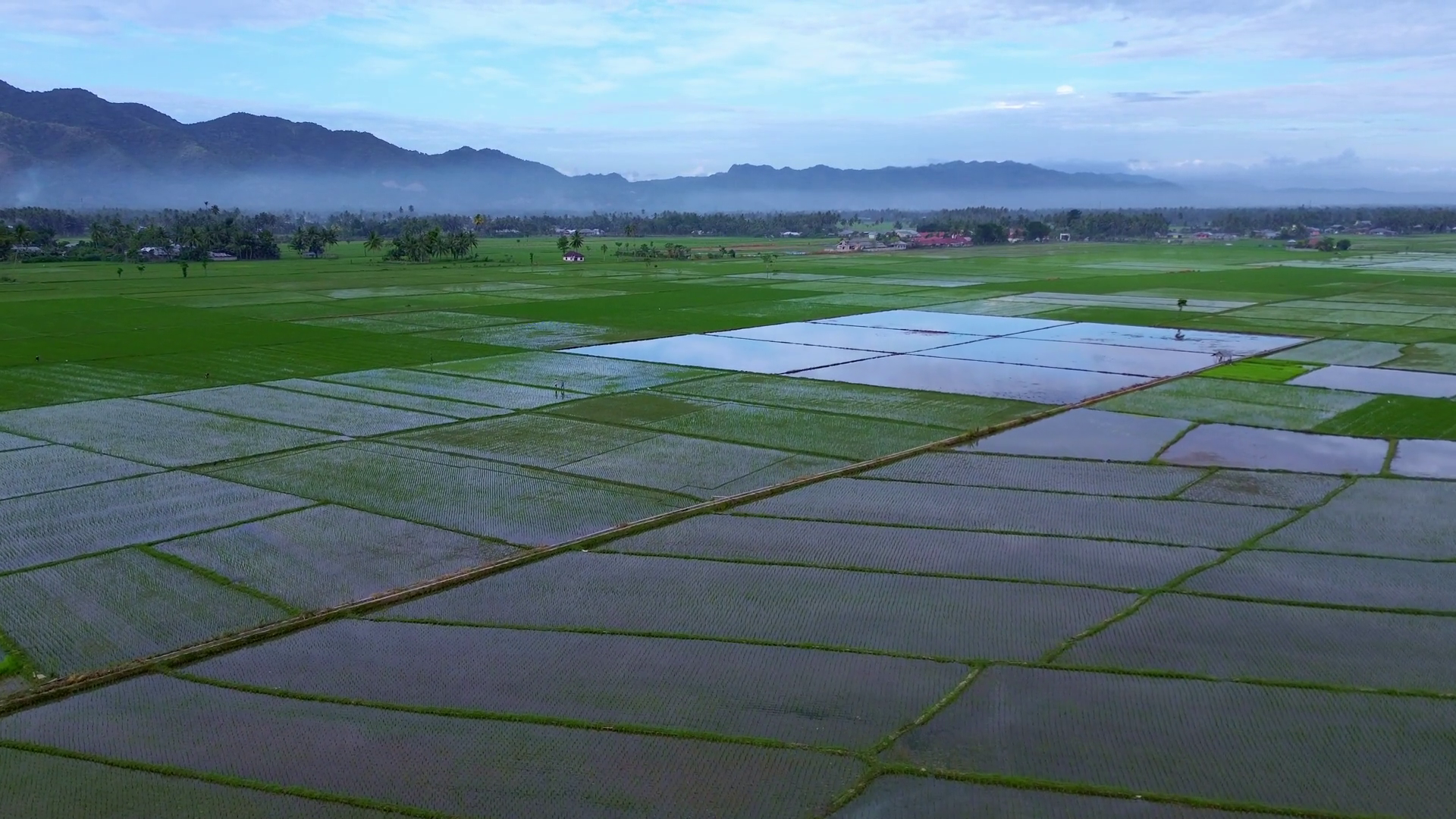 Aerial View Of Flooded Rice Paddy Fields Stock Footage SBV-352303991 ...