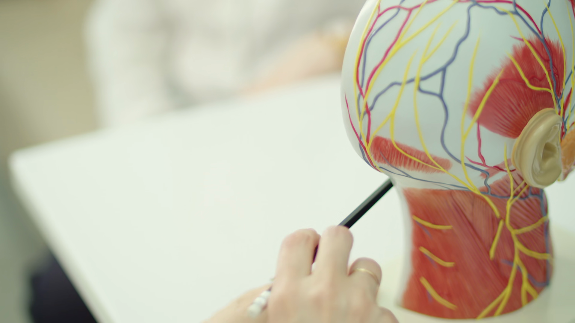 Doctor Pointing To Blood Vessels On Anatomy Stock Footage SBV-353628773 ...