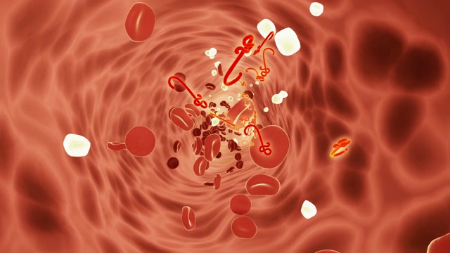 Oxygen In Blood | Colors motion backgrounds - Storyblocks