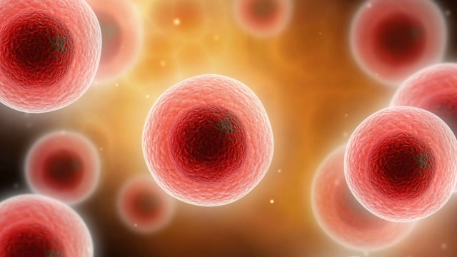 Download 427 Cells Motion Backgrounds - Storyblocks