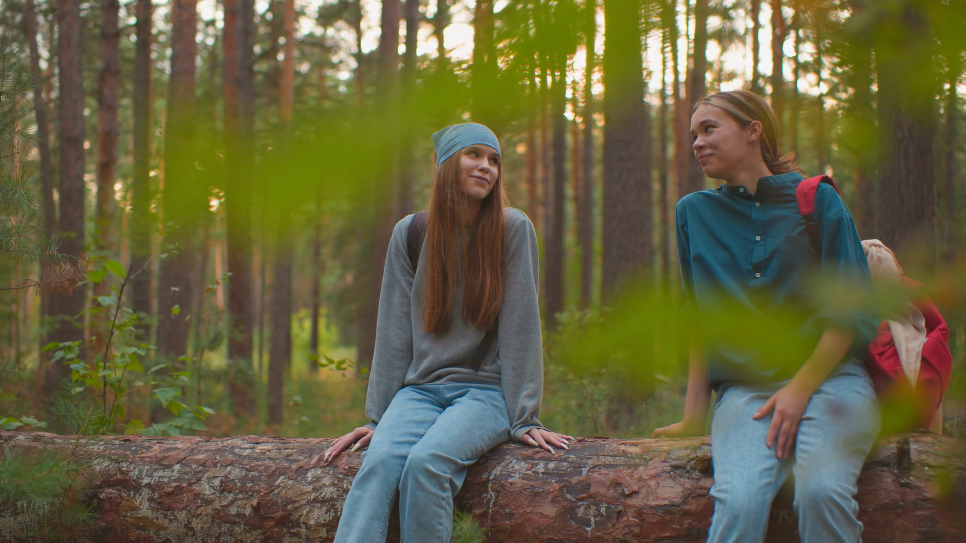 Two Friends On Fallen Tree In Peaceful Stock Footage SBV-349397484 ...