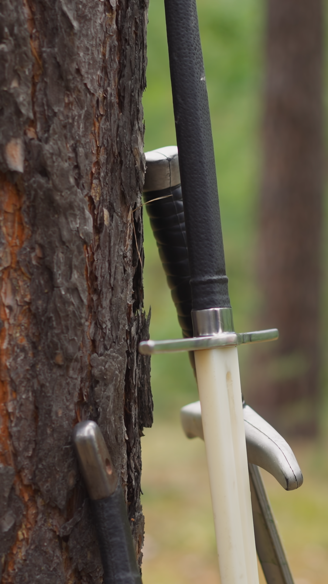 Swords In Forest Tree Medieval Weapons Stock Footage SBV-353169479 ...
