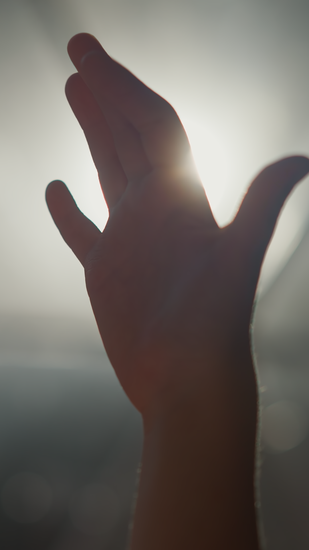 Child Hand Silhouette At Backlight Little Stock Footage SBV-353176468 ...