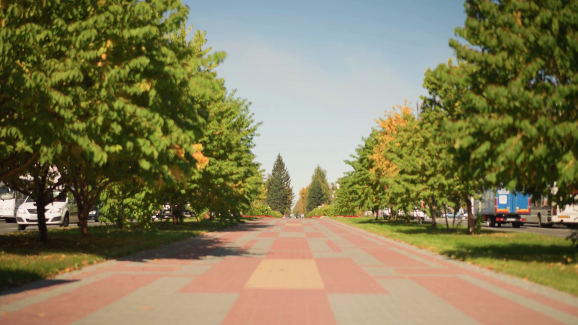 Wide-angle View Of City Street With Trees Stock Footage SBV-351975275 ...