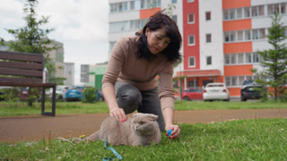 Female Interacts With Lively Kitten In Sunlight, Woman Bonds With Cat Through Toy In Bright Local Park Setting, Woman Engages Playful Cat