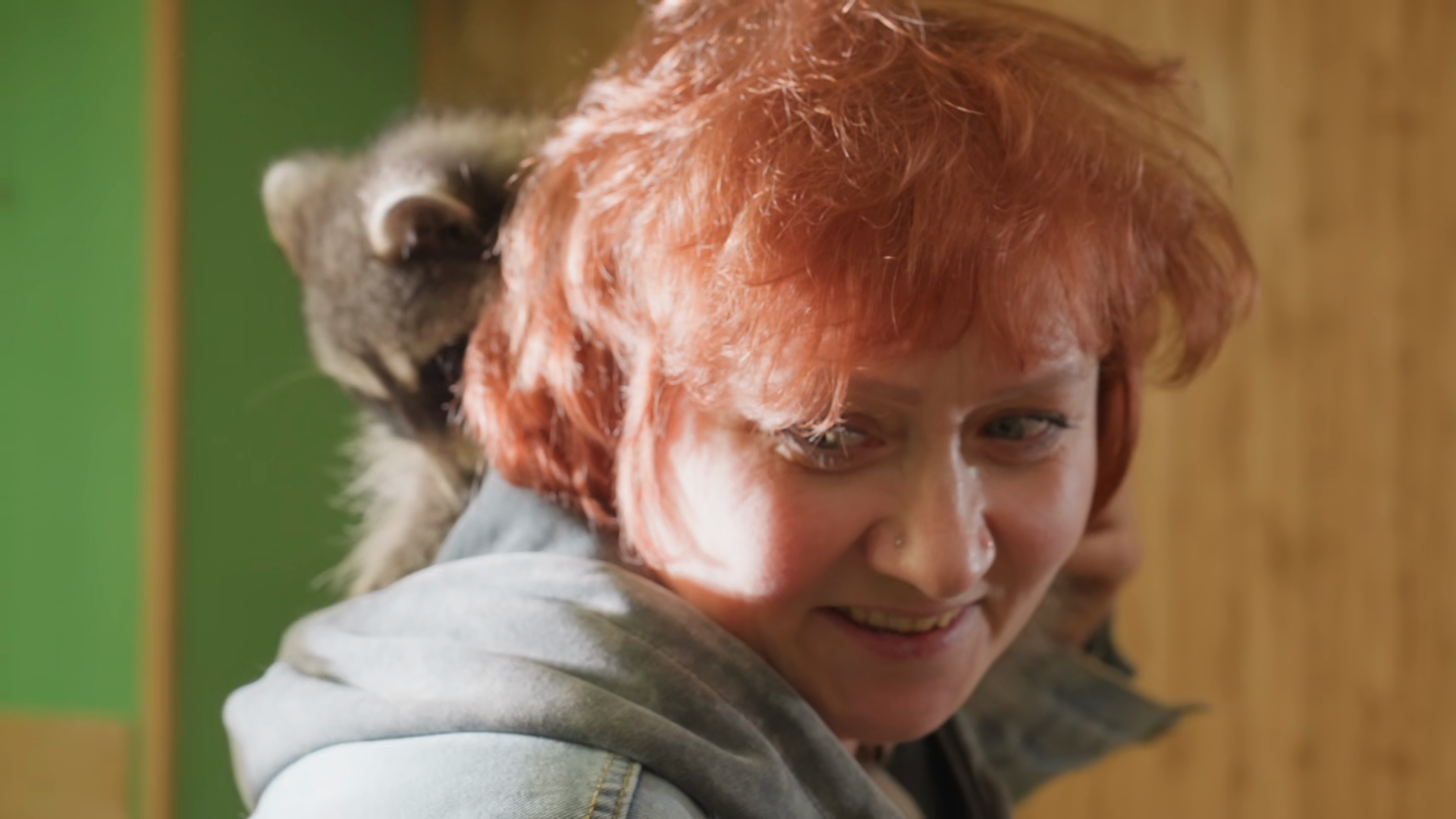 Redhead White Woman With Raccoon Closeup Stock Footage SBV-353755541 ...