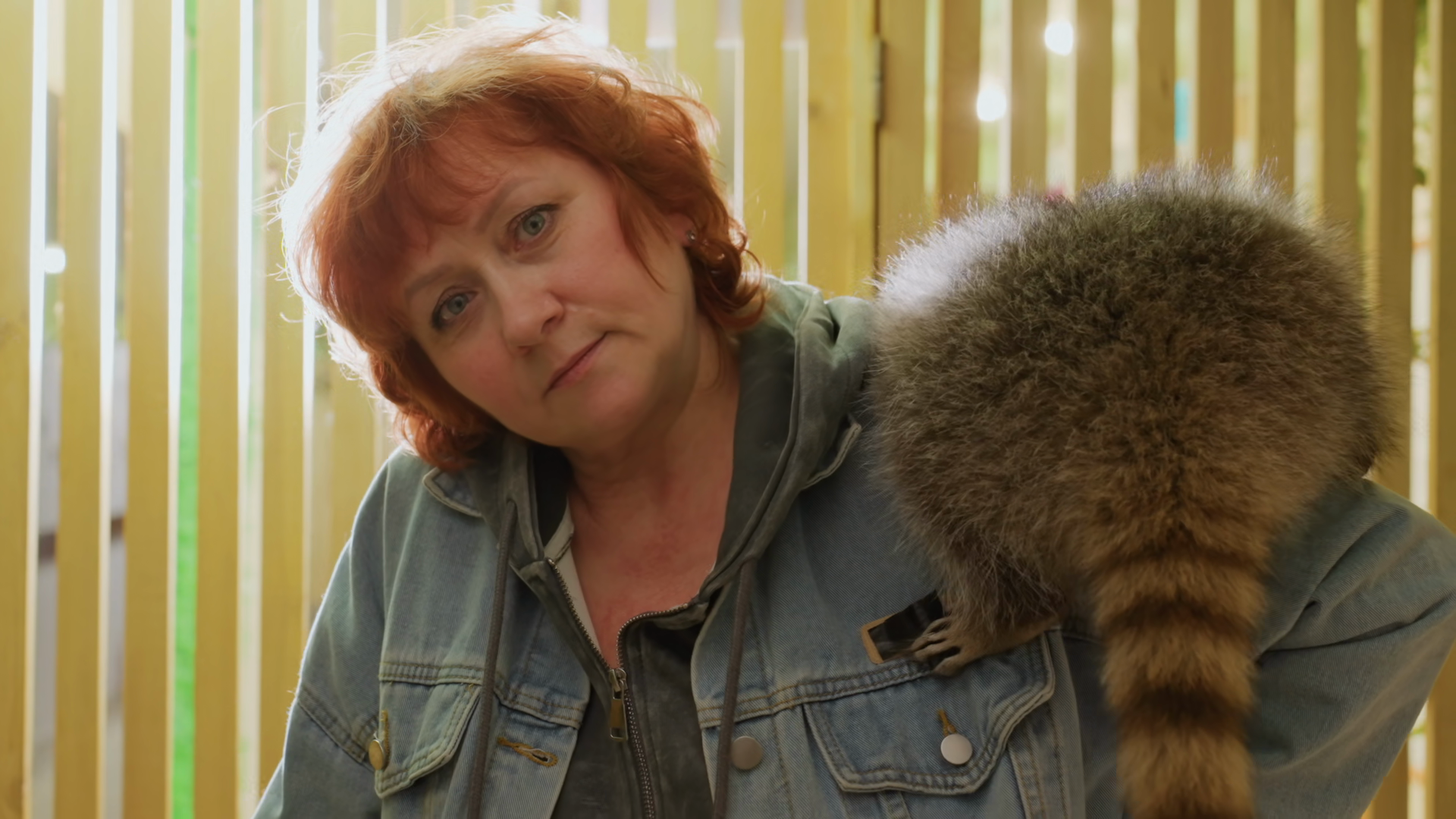Redhaired Caucasian Woman With Raccoon Stock Footage SBV-353755562 ...