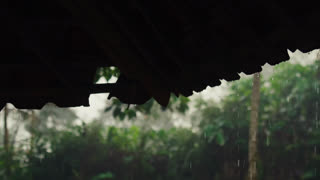 Raindrops Falling from Corrugated Roof Edge with Blurry Jungle Background