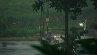 Heavy Rain Falling on Wet Street and Lush Greenery at Dusk with Lit Streetlight