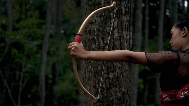 Hunter Asian Stock Footage: Royalty-Free Video Clips - Storyblocks