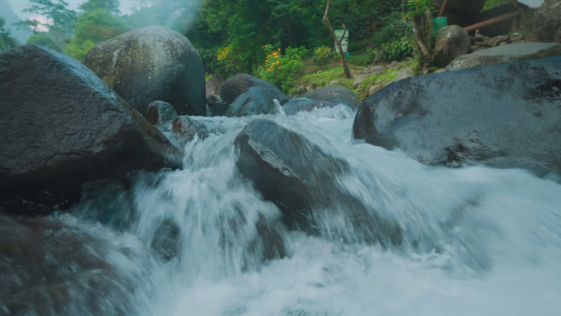 Flowing River Over Rocks In Lush Greenery Stock Footage SBV-349186806 ...