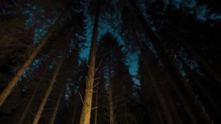 Night Walk In The Woods Stock Footage: Royalty-Free Video
