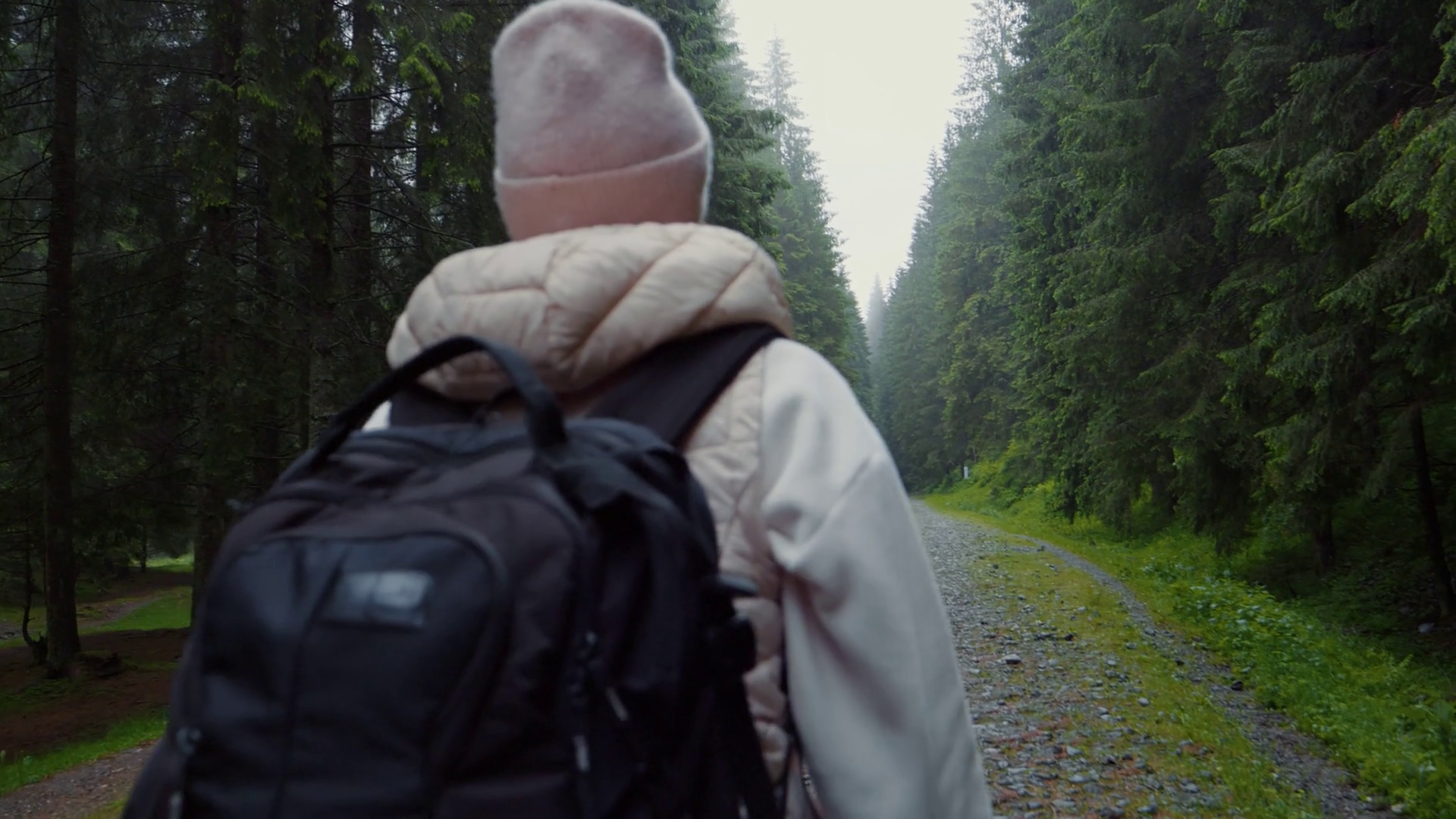 Back View Of Woman With Backpack Hiking In Stock Footage SBV-352050881 ...
