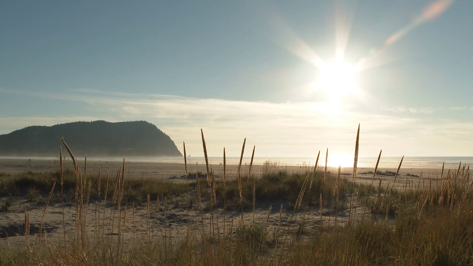 Beautiful Sunny Day At Oregon Beach Stock Footage SBV328026715