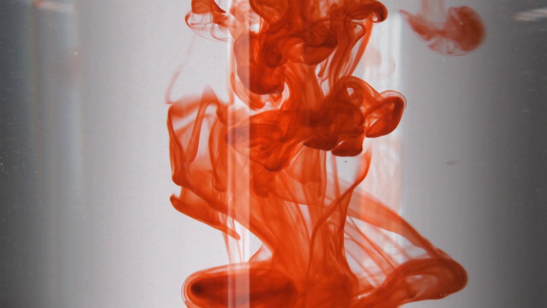 Close Up Blood In Clear Liquid White Stock Footage SBV337530657 Storyblocks