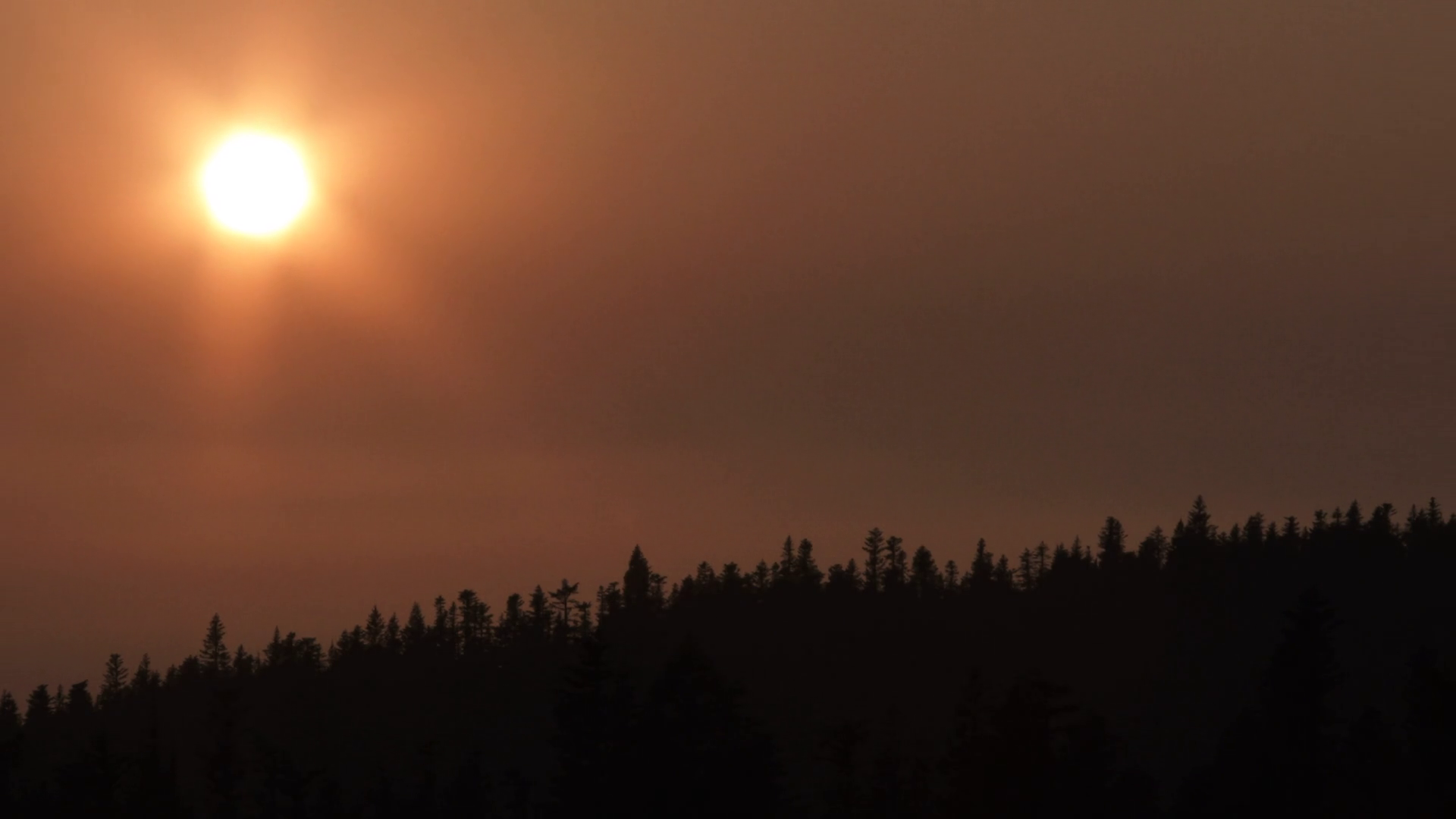 Day To Night Smoky Sky Time Lapse Over Tree Line Stock Video Footage ...
