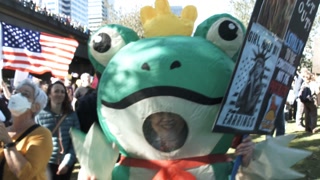 Peaceful Frog And Unicorn Protesters At No Kings