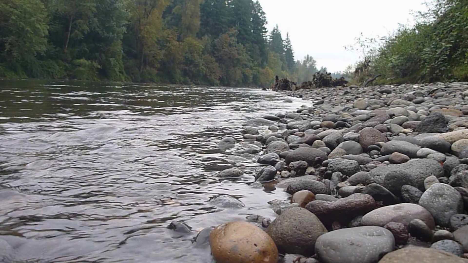 Person Walking On River Rocks Stock Video Footage 0028 SBV335730821