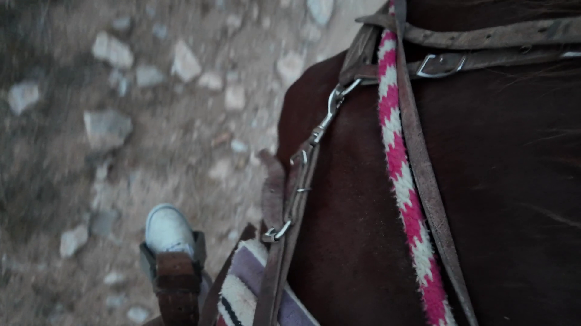 Top Down View Of Foot In Stirrups Horseback Stock Footage SBV-352950079 ...