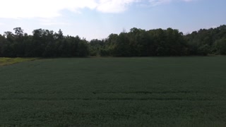 Flying straight backwards over a green farm field with a forest in the distance