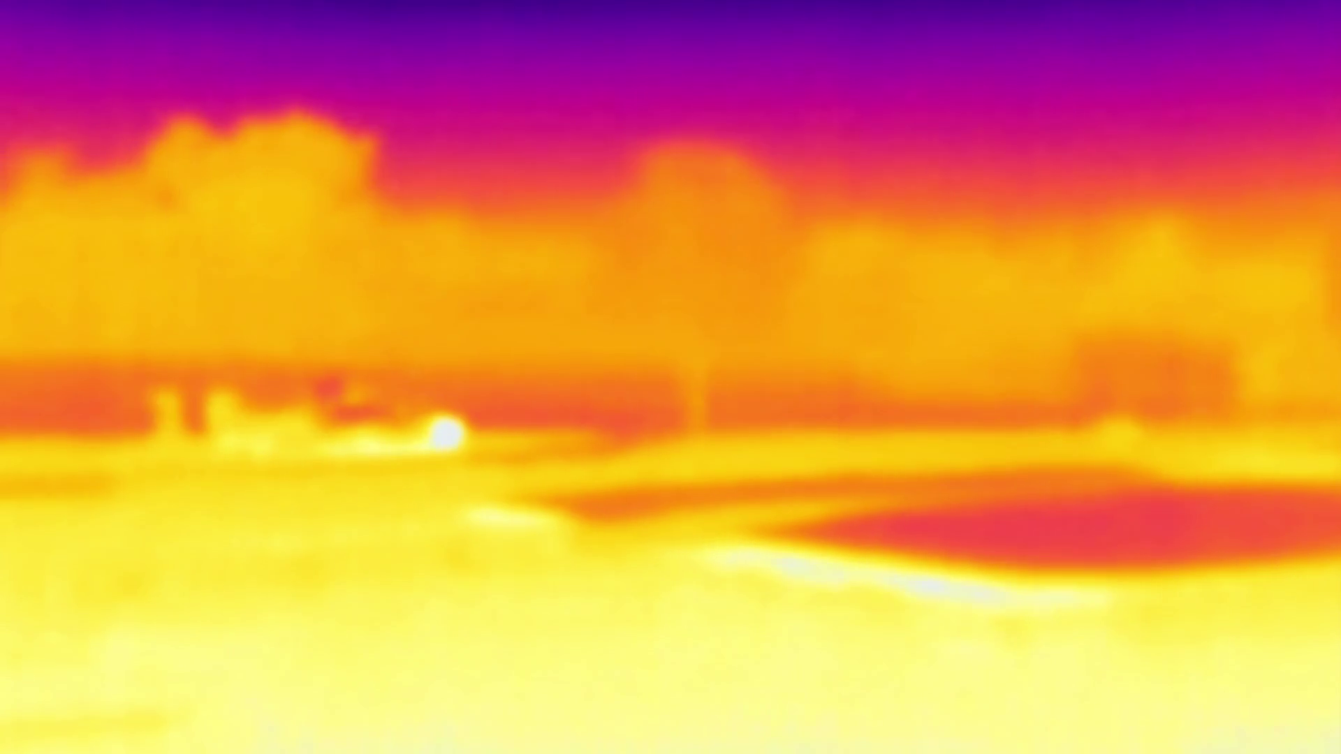 Security Scan Sweep With Thermal Imaging At Stock Footage SBV348494815