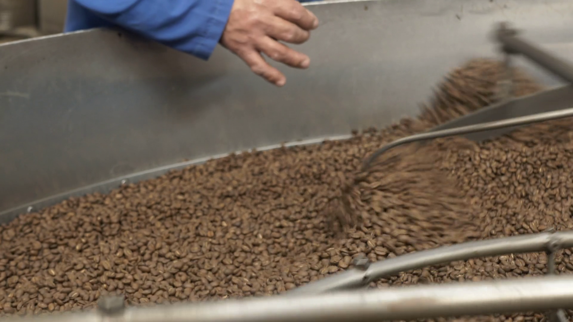 Roasted Coffee Beans In Cooling Tray Of Stock Footage SBV-351877350 ...