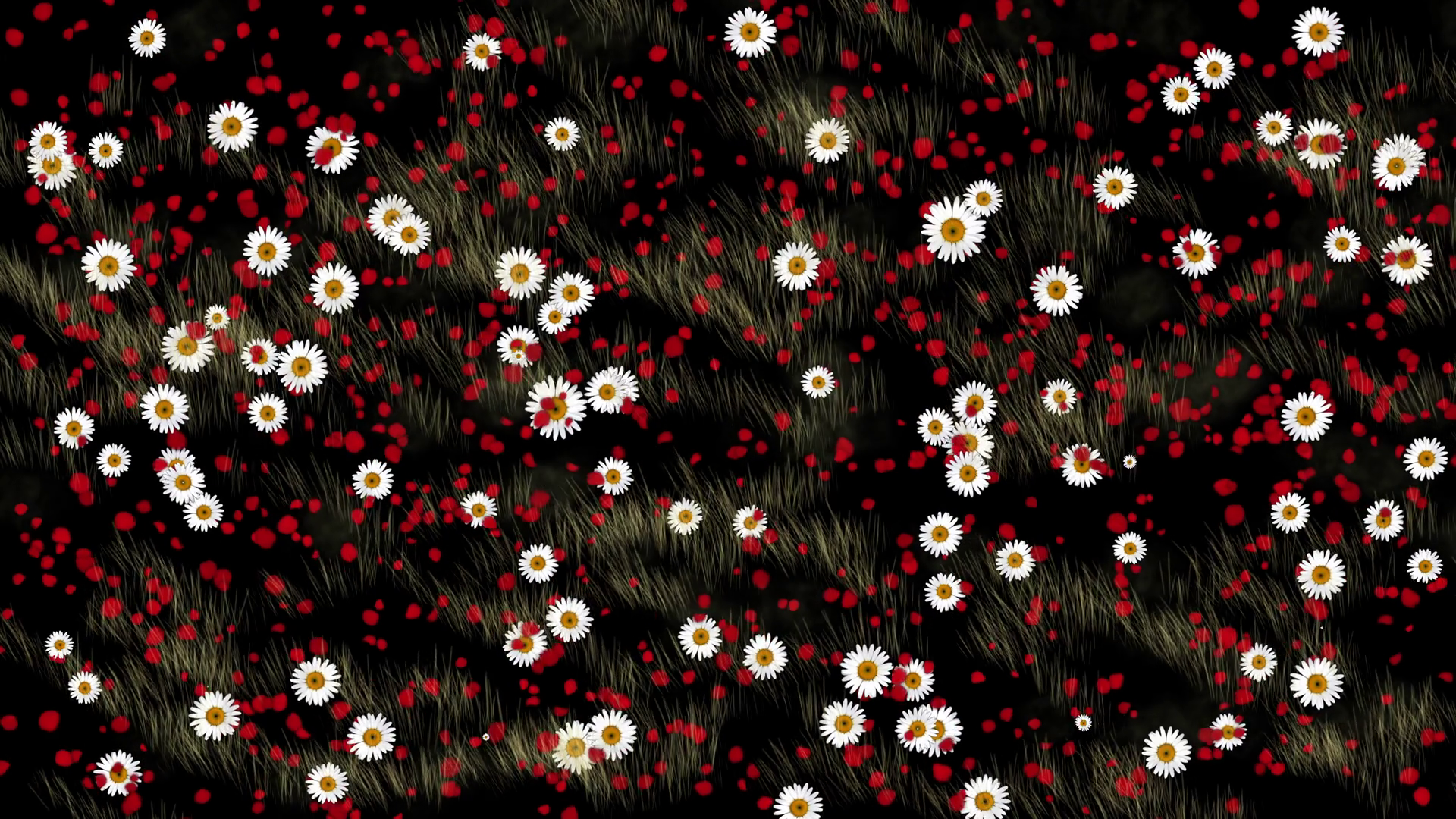 Flowers Blooming Vivid Floral Motion Stock Motion Graphics SBV ...