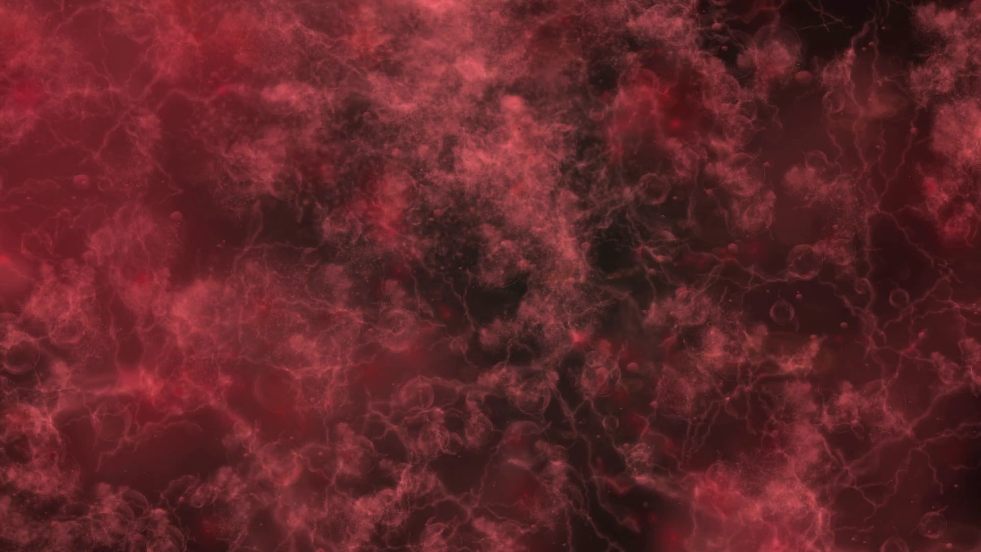 Red Blood Cells Flowing In Vein Microscopic Stock Motion Graphics SBV ...