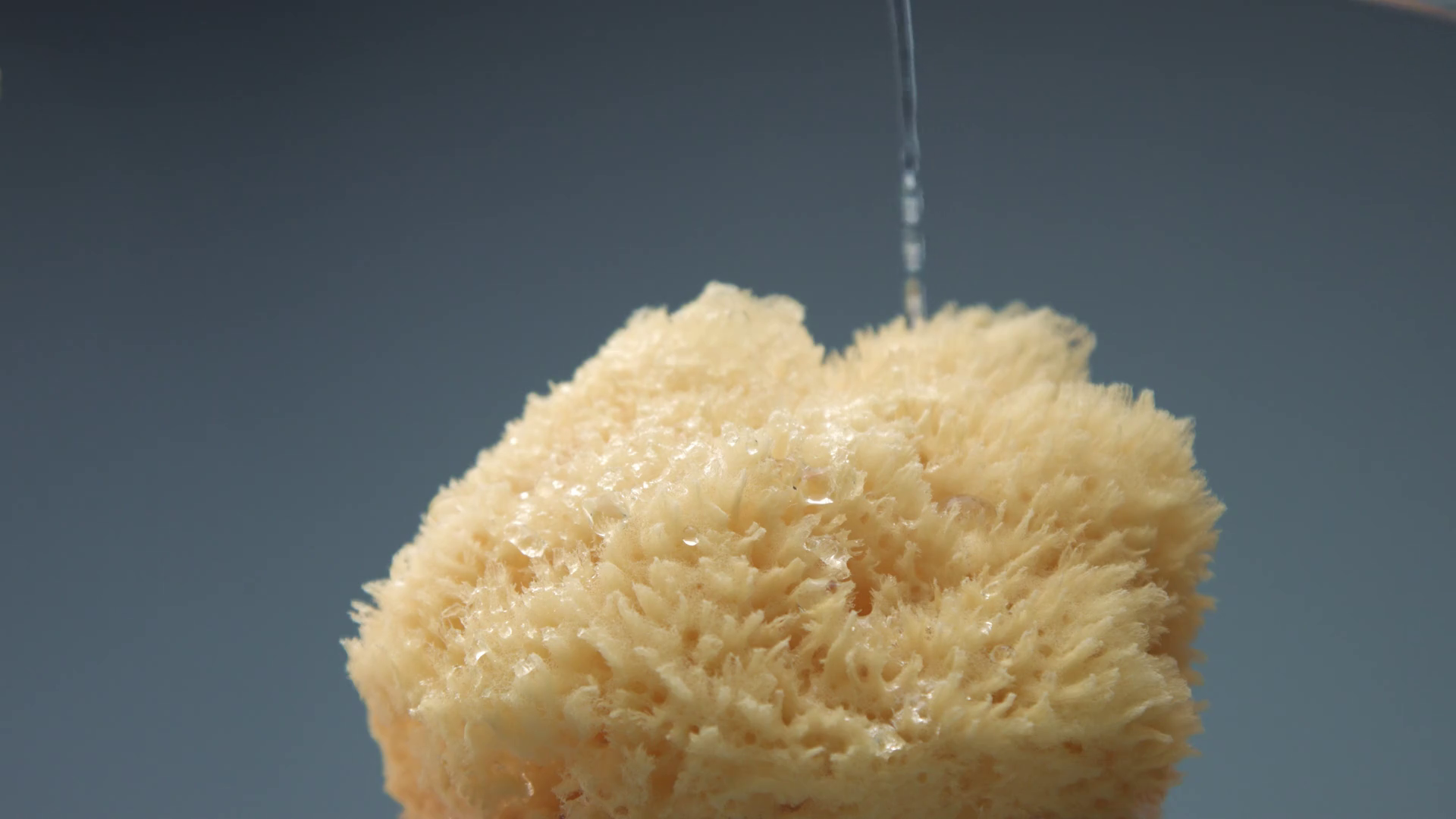 Dry Natural Bath Sponge Water Pouring On Stock Footage SBV335602880