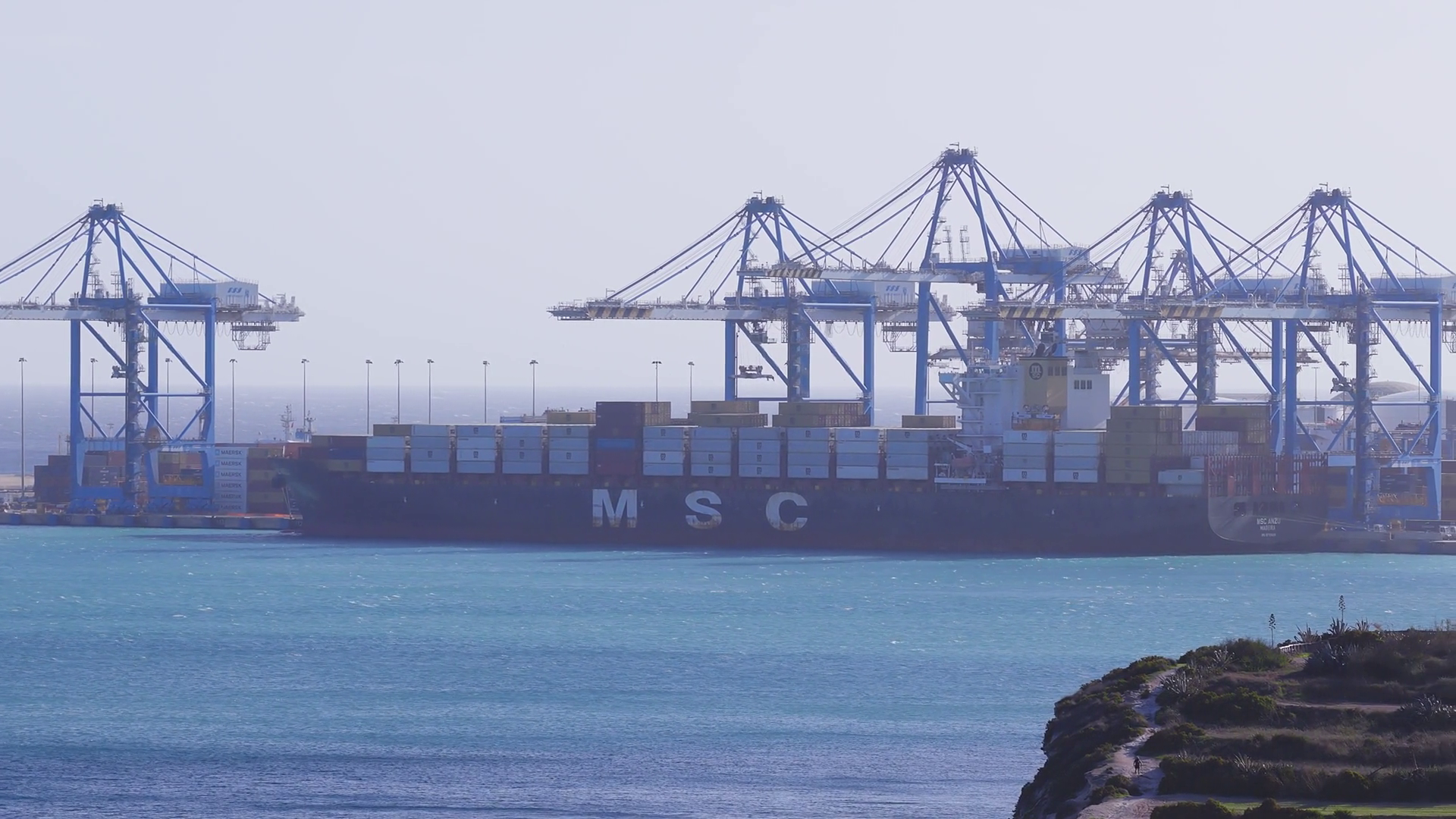 Aerial View Shows Msc Container Ship Blue Stock Footage SBV-353173960 ...