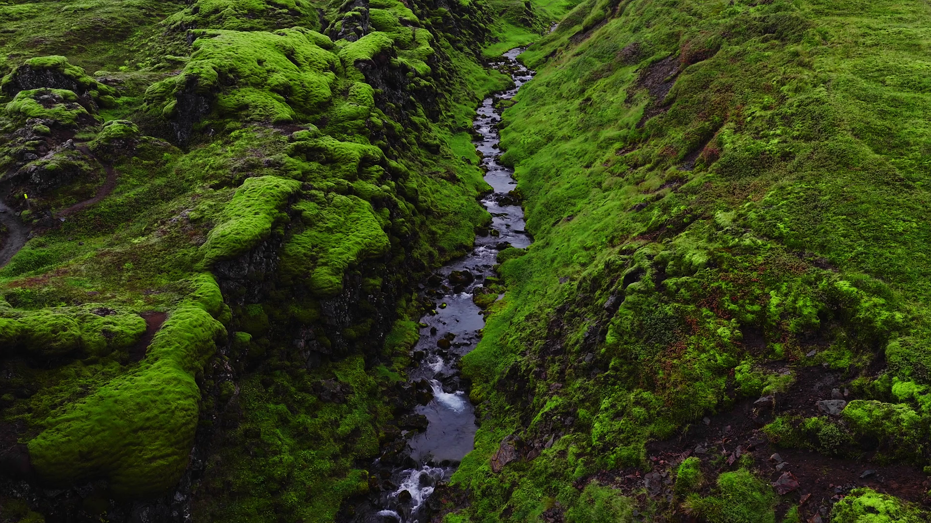 Aerial Camera Follows Dark Bubbling Stream Stock Footage SBV-353164839 ...