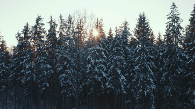 Really Cold Stock Footage: Royalty-Free Video Clips - Storyblocks