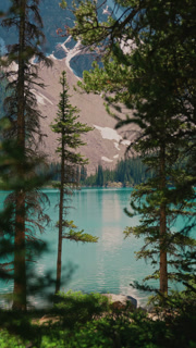 Turquoise Lake Framed by Pine Trees